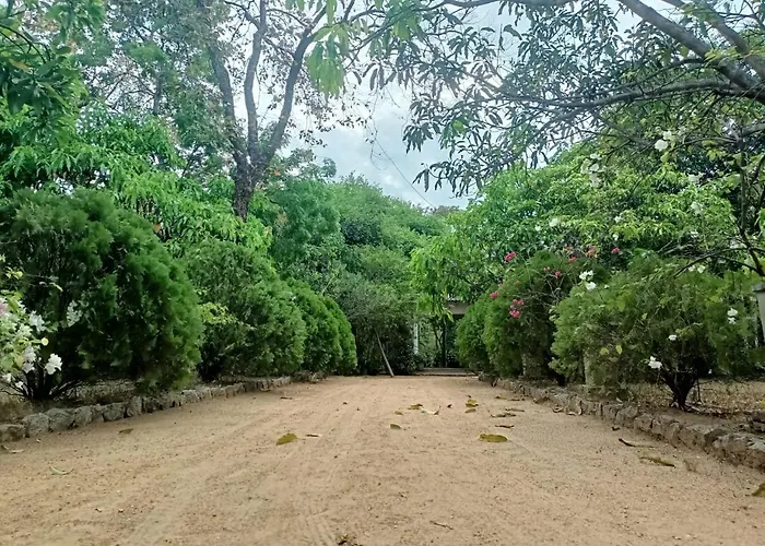 The Mango Garden